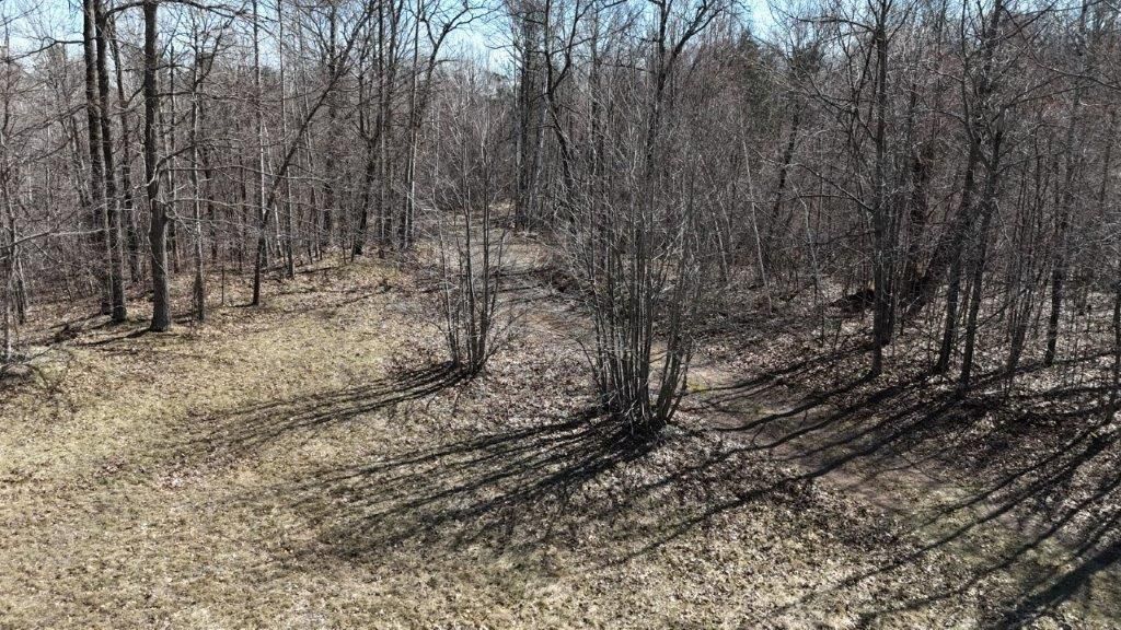 Photo of 0 Highway 35, Danbury, WI 54830 (MLS # 1600361)