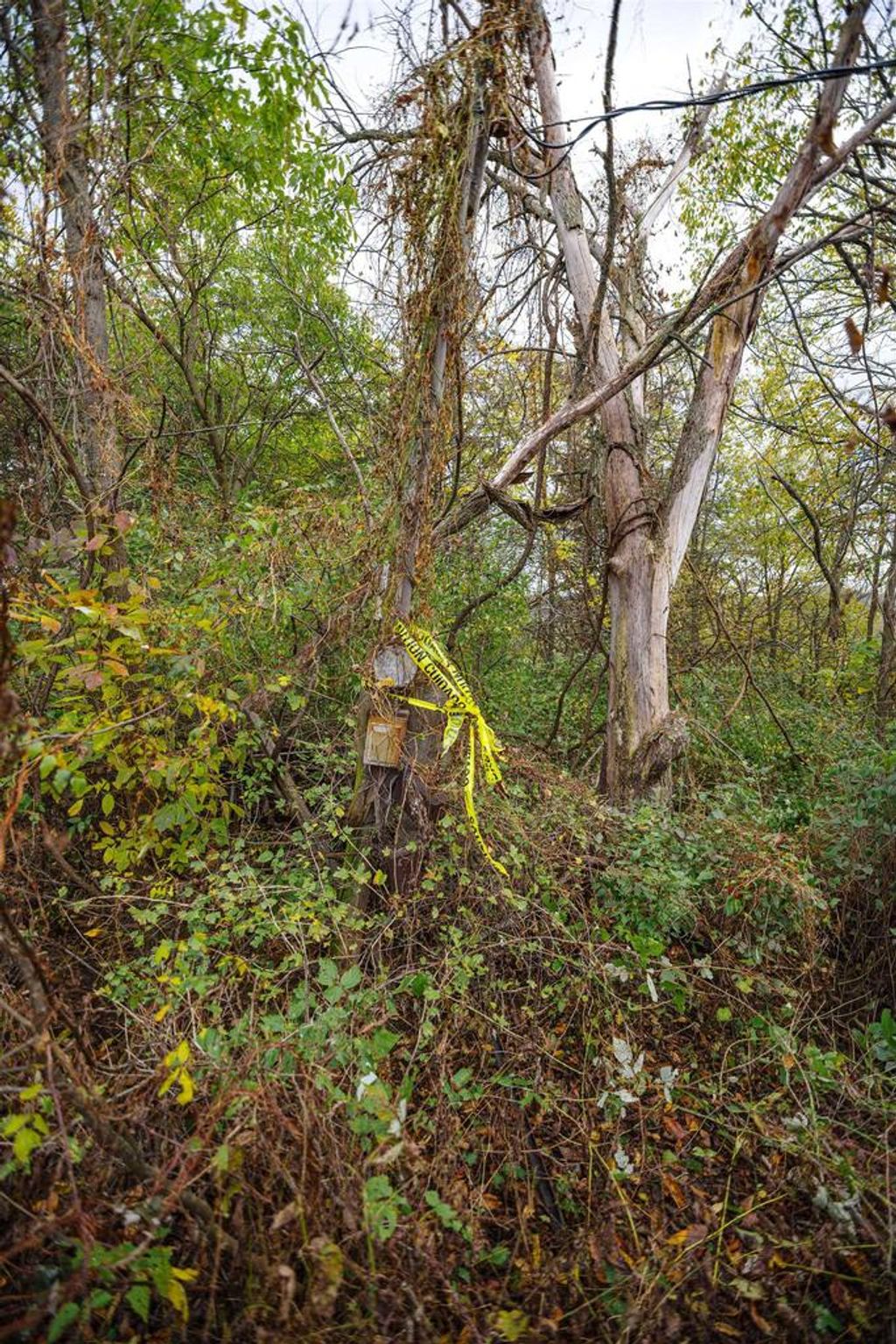 Photo of lot 1 County TB ROAD, Richland Center, WI 53581 (MLS # 2011363)