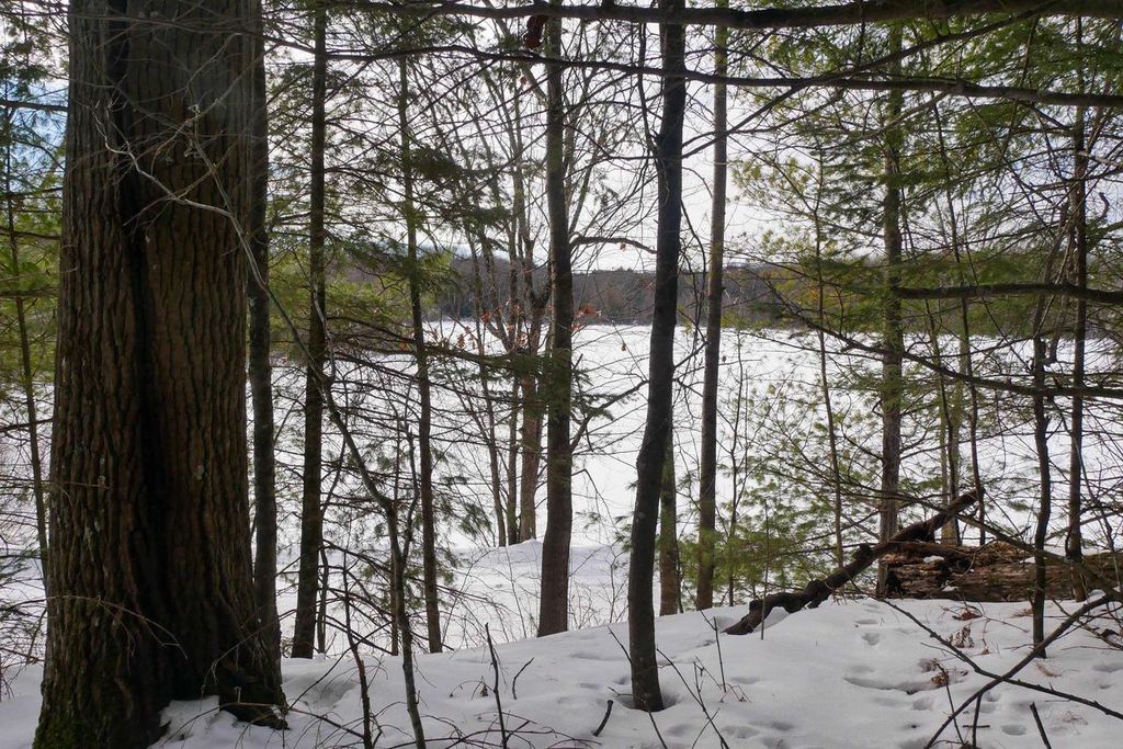 Photo of +/-.544 Acre Salem Lake ROAD, Medford, WI 54451 (MLS # 22600442)