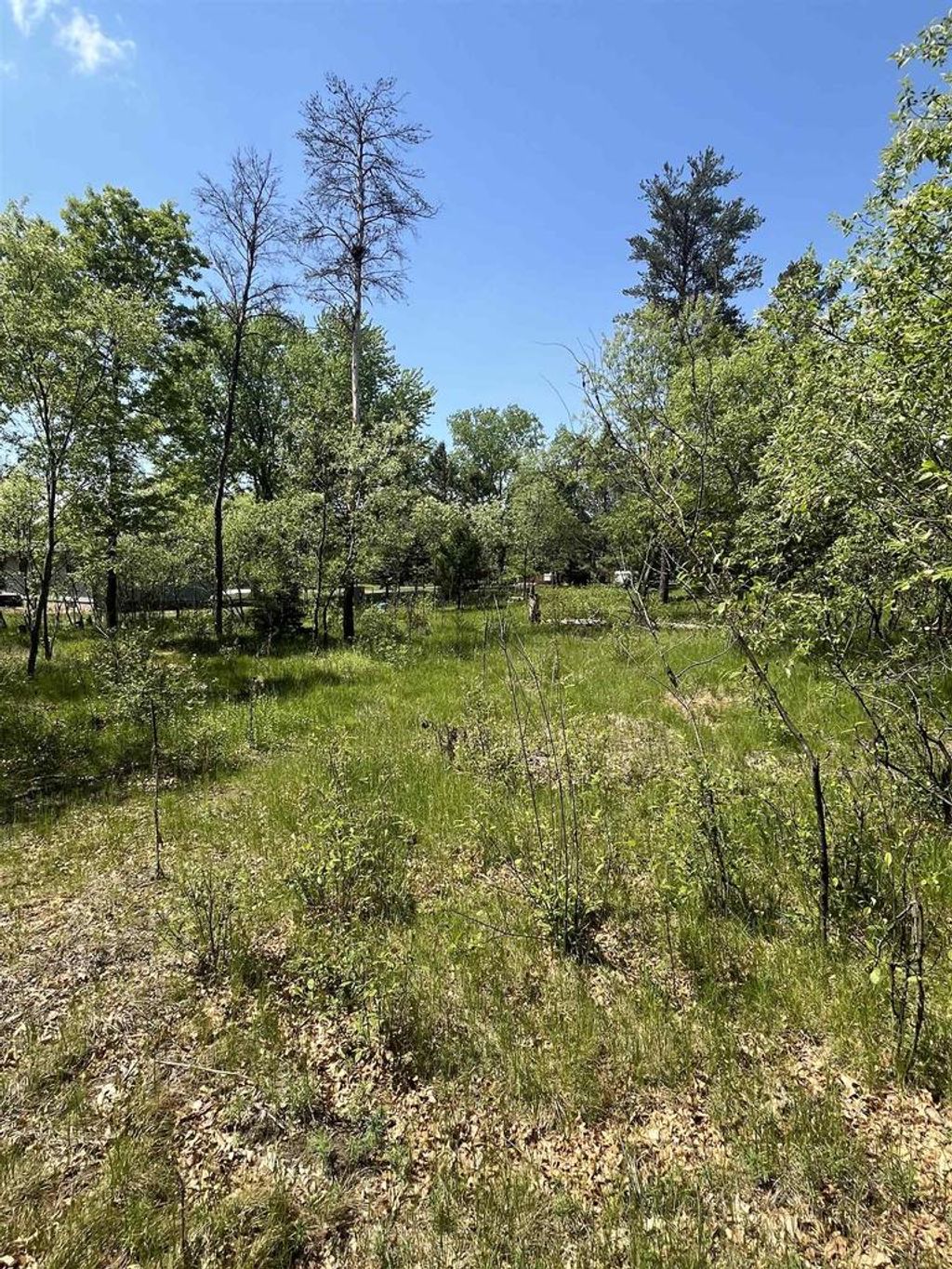 Photo of 1047 N Archers WAY, Nekoosa, WI 54457 (MLS # 22602090)