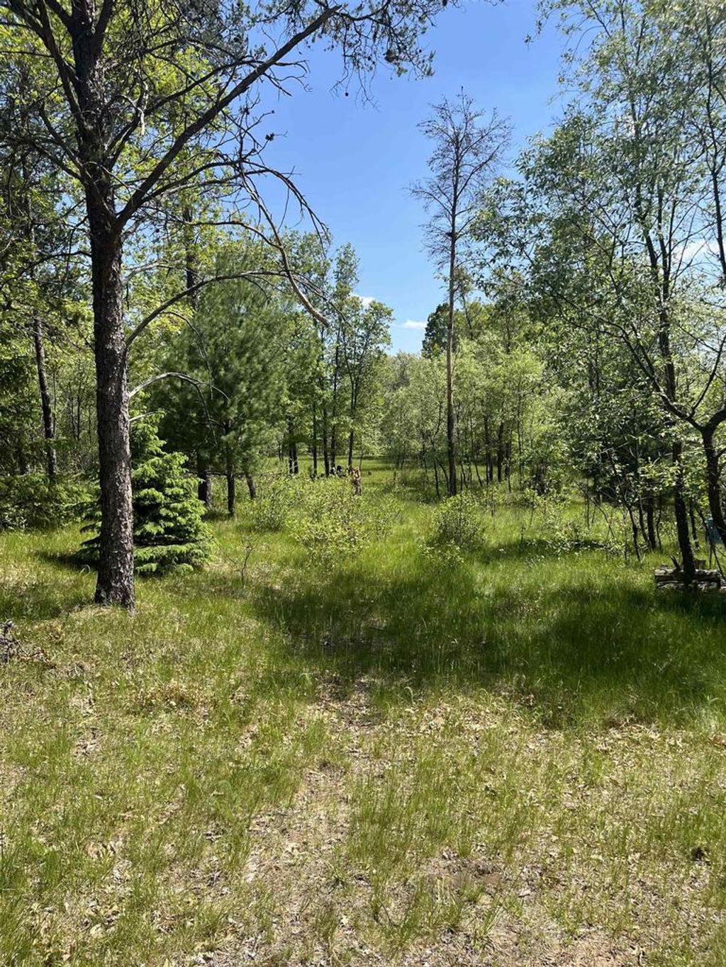 Photo of 1047 N Archers WAY, Nekoosa, WI 54457 (MLS # 22602090)