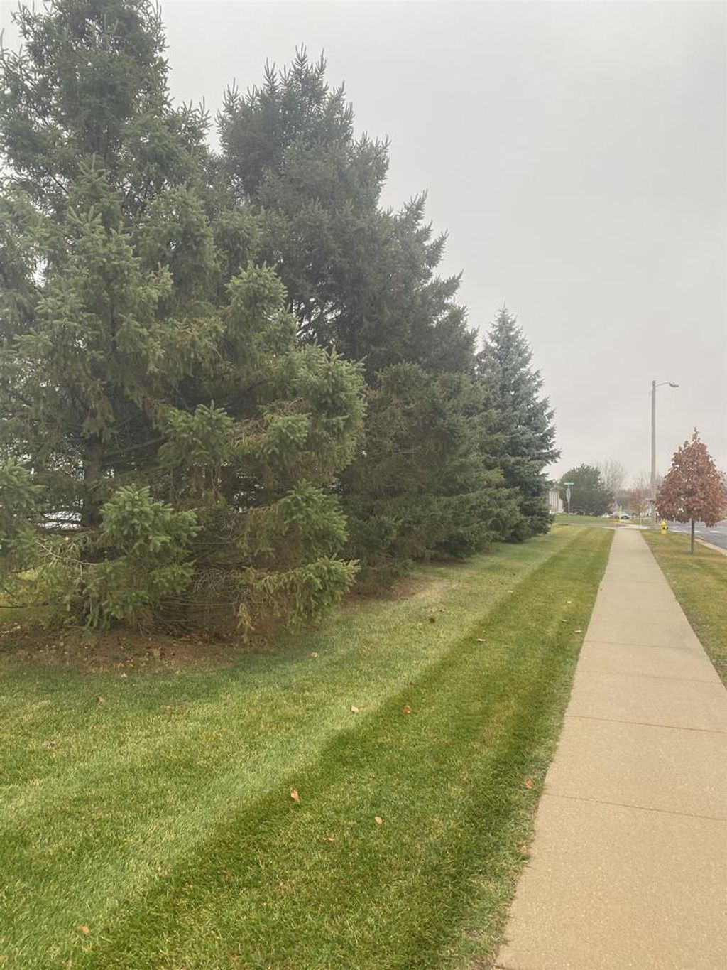 Photo of 616 Reena AVENUE, Fort Atkinson, WI 53538 (MLS # 2013202)