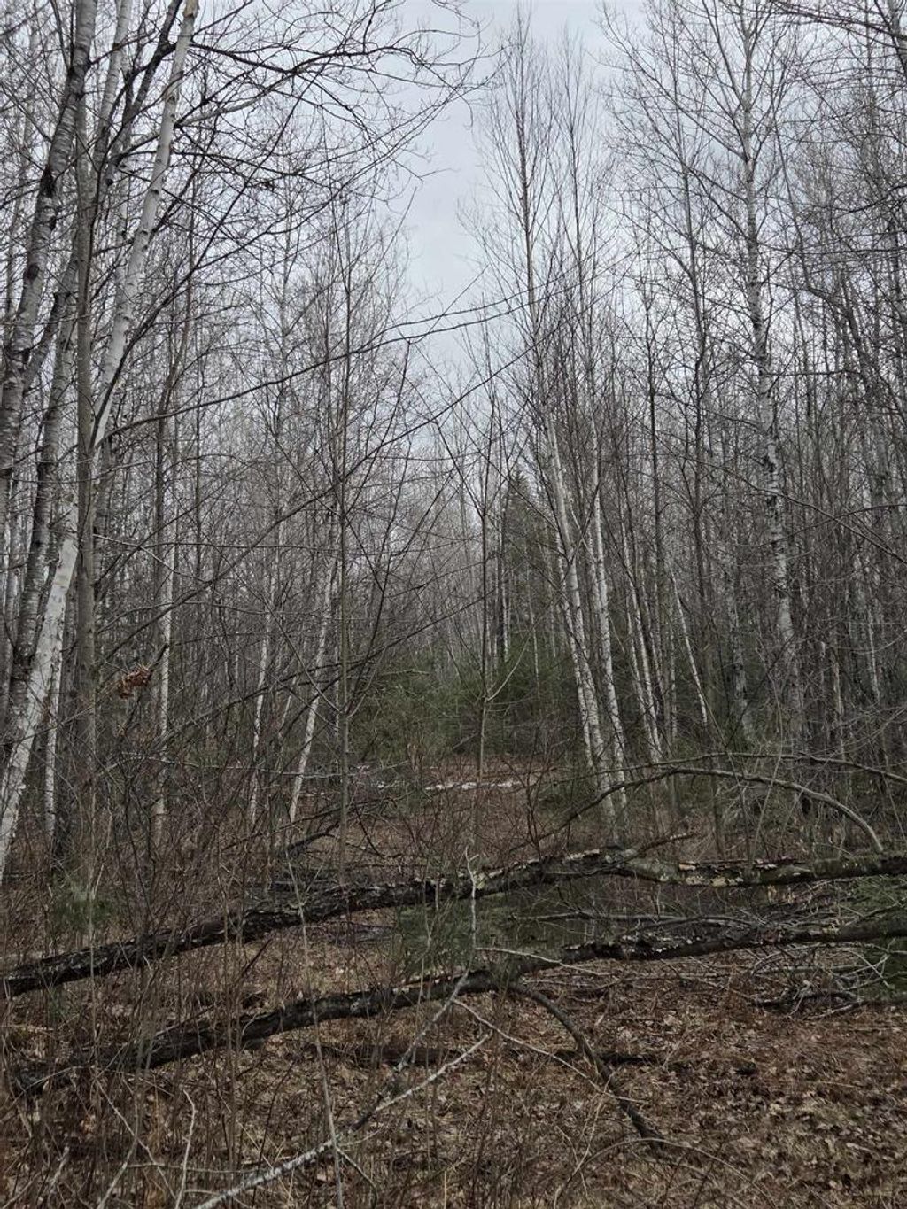 Photo of County Road K, Amberg, WI 54102 (MLS # 50323586)