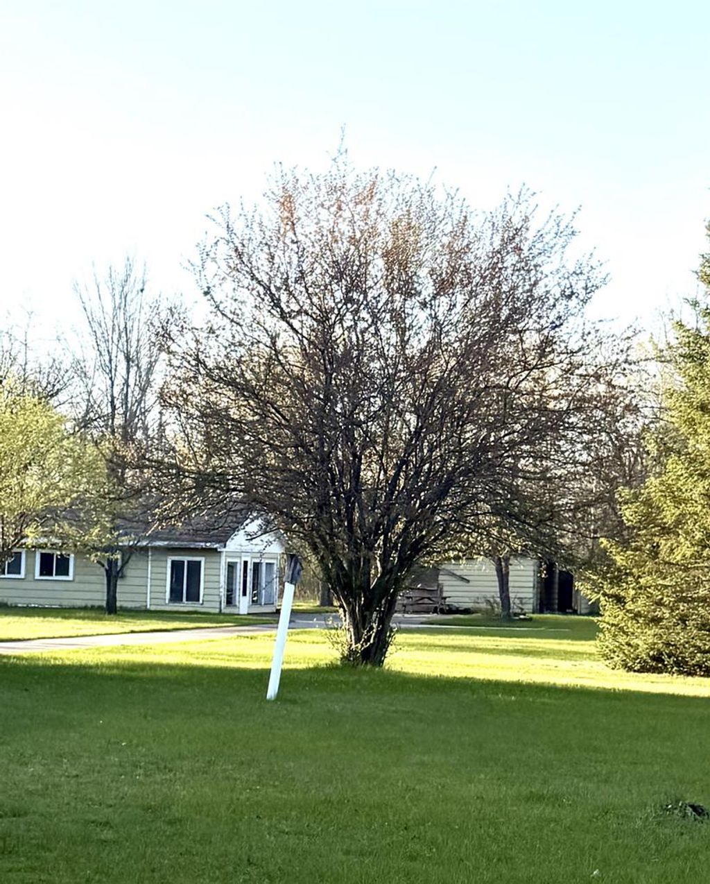 Photo of W11762 Rays LANE, Crivitz, WI 54114 (MLS # 50325702)