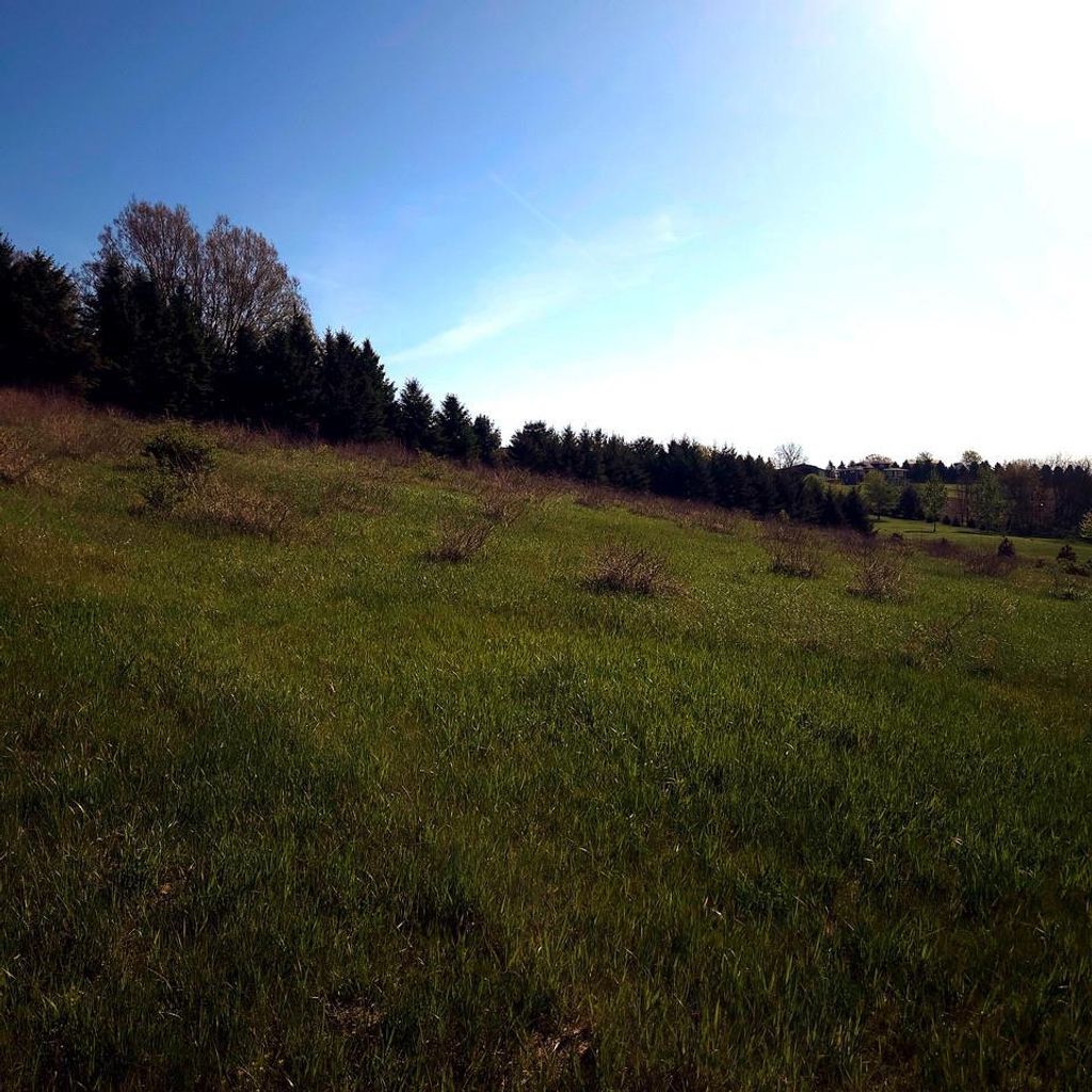 Photo of Lot 13 Holly LANE, Belleville, WI 53508 (MLS # 2022380)