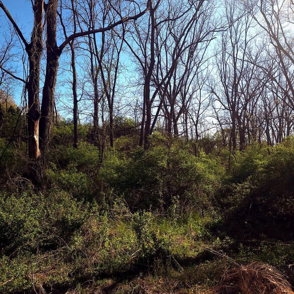Photo of Lot 13 Holly LANE, Belleville, WI 53508 (MLS # 2022380)