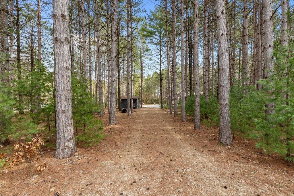Photo of W6471 Hidden Springs DRIVE, Neshkoro, WI 54960 (MLS # 50322531)