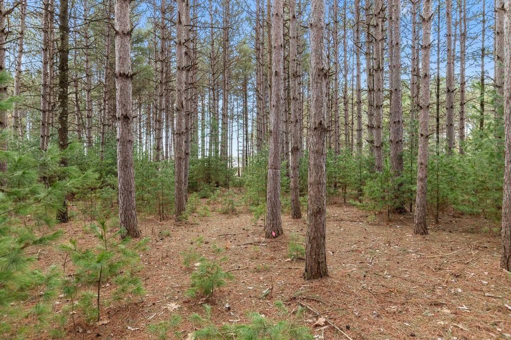 Photo of W6471 Hidden Springs DRIVE, Neshkoro, WI 54960 (MLS # 50322531)