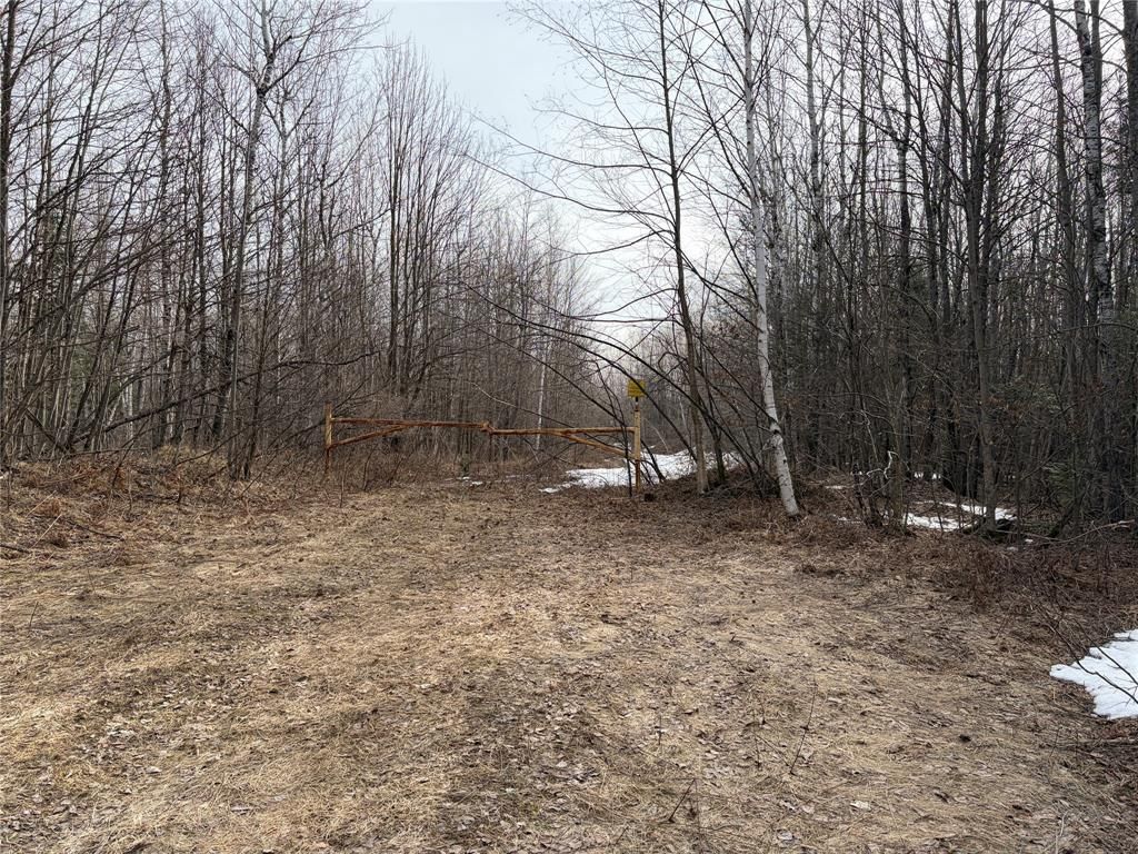 Photo of ON Cth B, Winter, WI 54896 (MLS # 1599277)