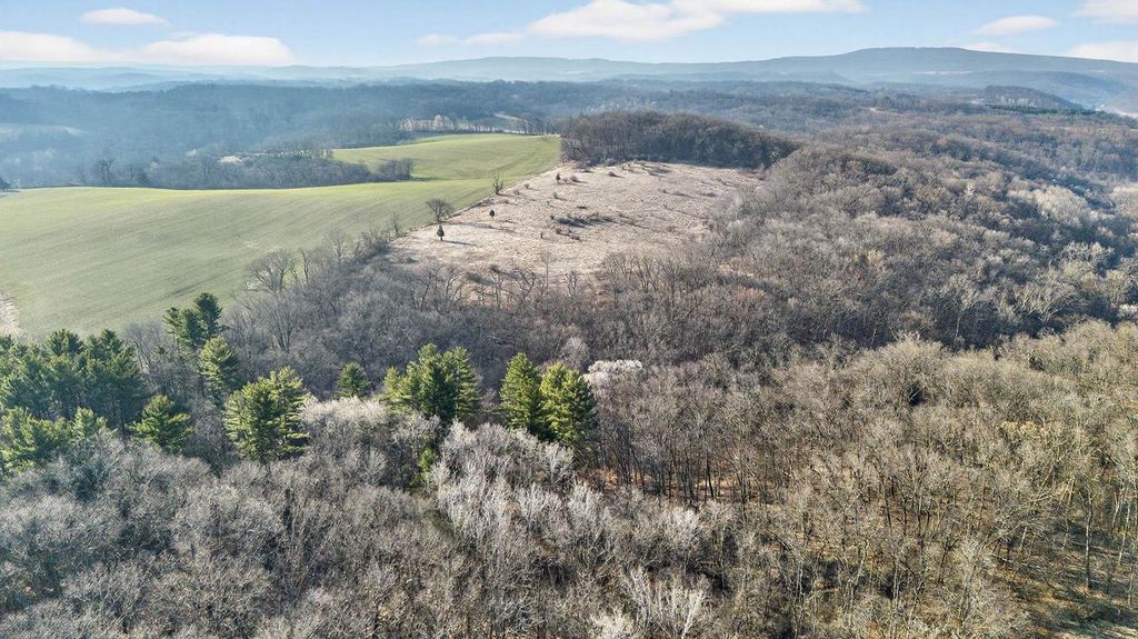 Photo of 271.18 acres Zwettler/Foster ROAD, Arena, WI 53503 (MLS # 2019984)