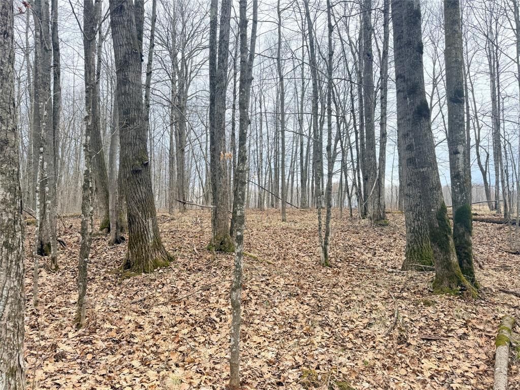 Photo of Lot 3 Hwy X, Glen Flora, WI 54526 (MLS # 1600084)