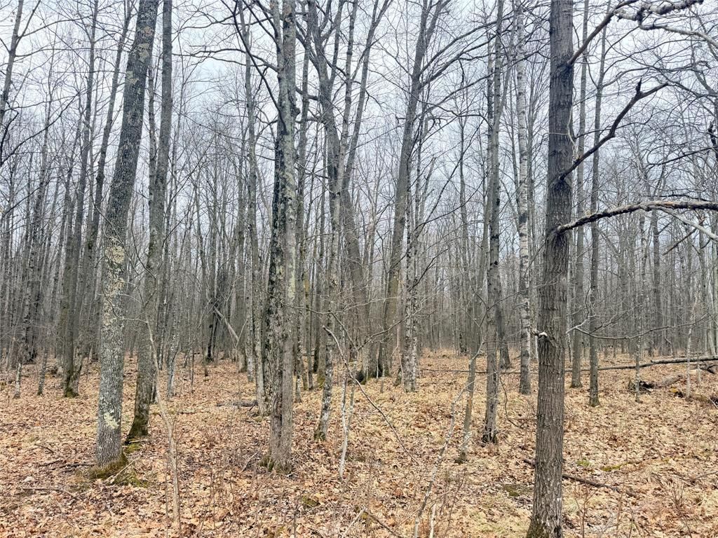 Photo of Lot 3 Hwy X, Glen Flora, WI 54526 (MLS # 1600084)