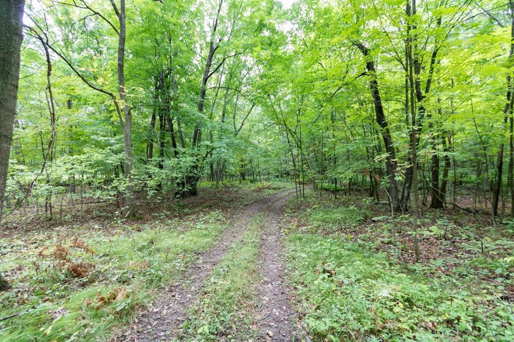 Photo of 20 ACRES 153rd AVENUE, Balsam Lake, WI 54810 (MLS # 1605253)