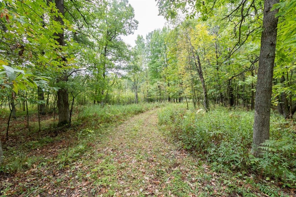 Photo of 20 ACRES 153rd AVENUE, Balsam Lake, WI 54810 (MLS # 1605253)