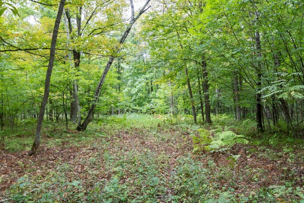 Photo of 20 ACRES 153rd AVENUE, Balsam Lake, WI 54810 (MLS # 1605253)