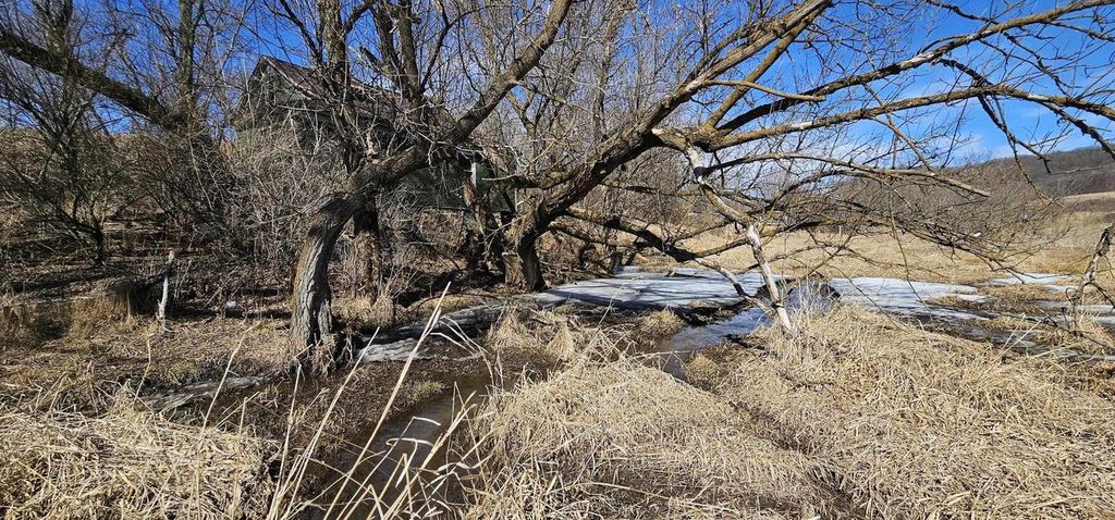 Photo of 000 Syresville LANE, Richland Center, WI 53581 (MLS # 2018311)