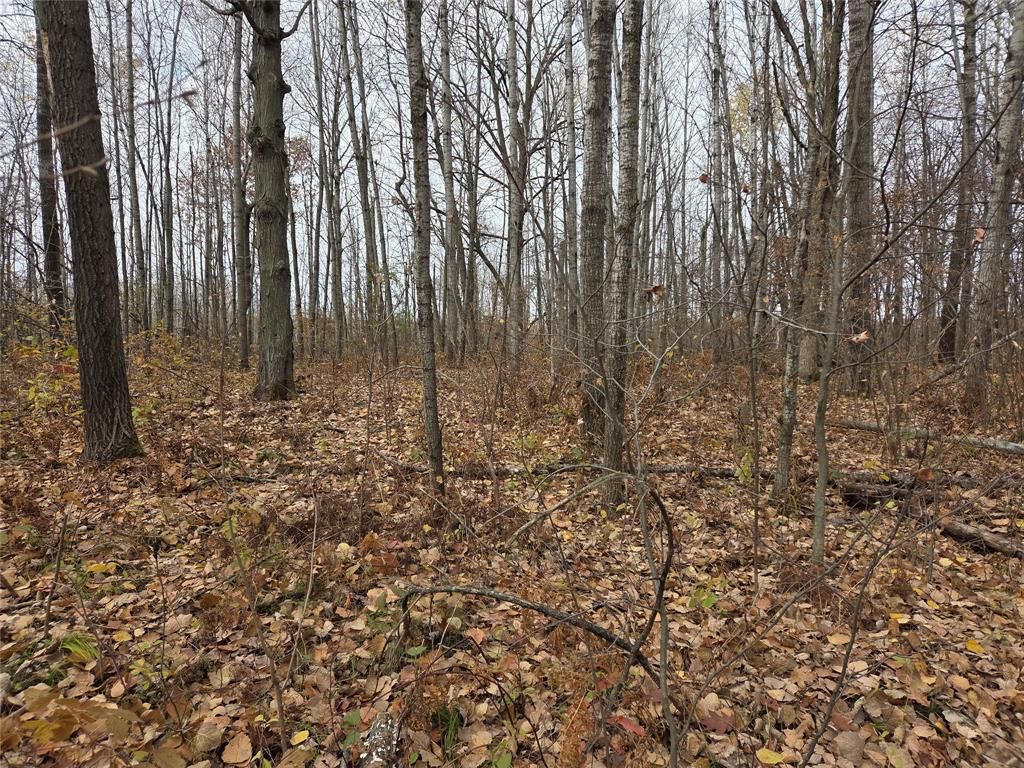 Photo of On Hwy 48, Rice Lake, WI 54868 (MLS # 1599815)