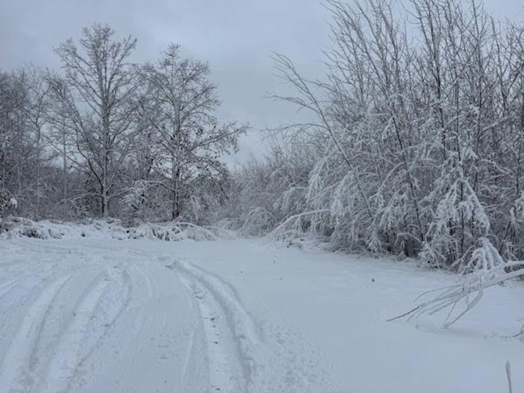 Photo of 0000 Barret Rd, Trego, WI 54888 (MLS # 1597319)