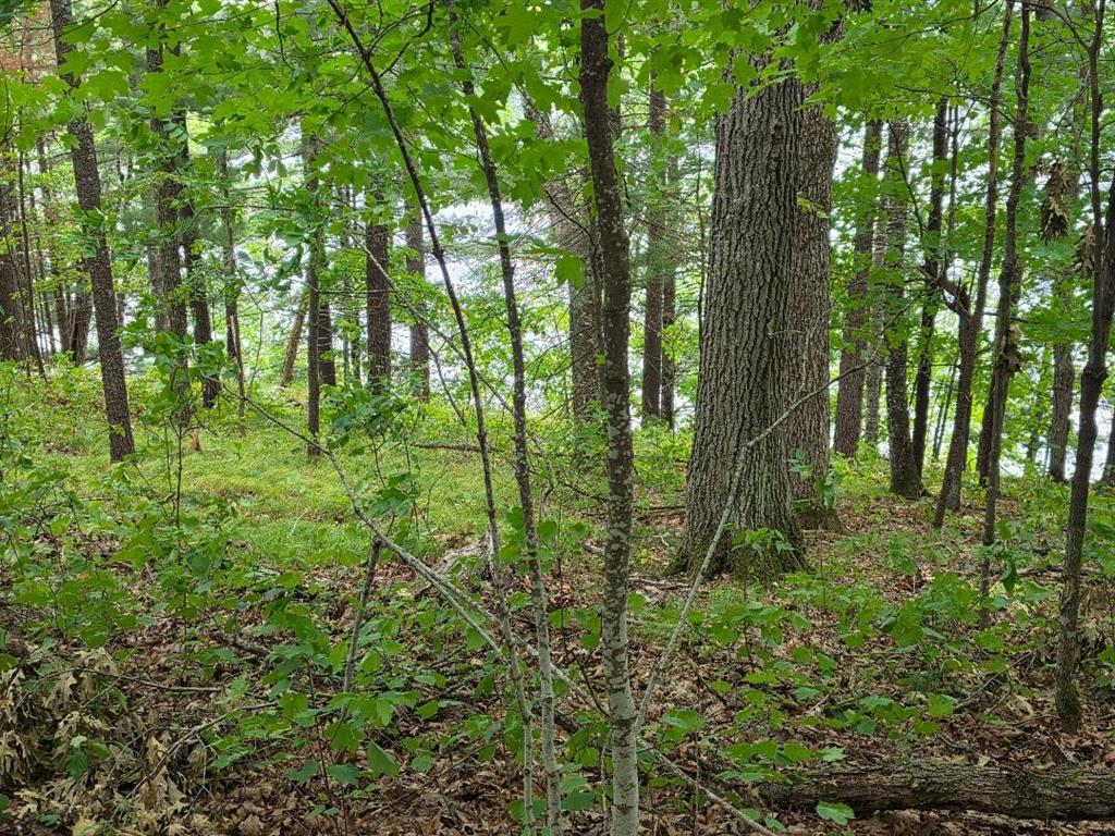 Photo of 2406 4th STREET, Cumberland, WI 54829 (MLS # 1604643)