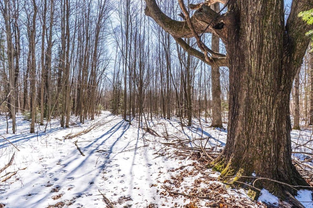Photo of 18.28 Acres South ROAD, Mosinee, WI 54455 (MLS # 22600781)