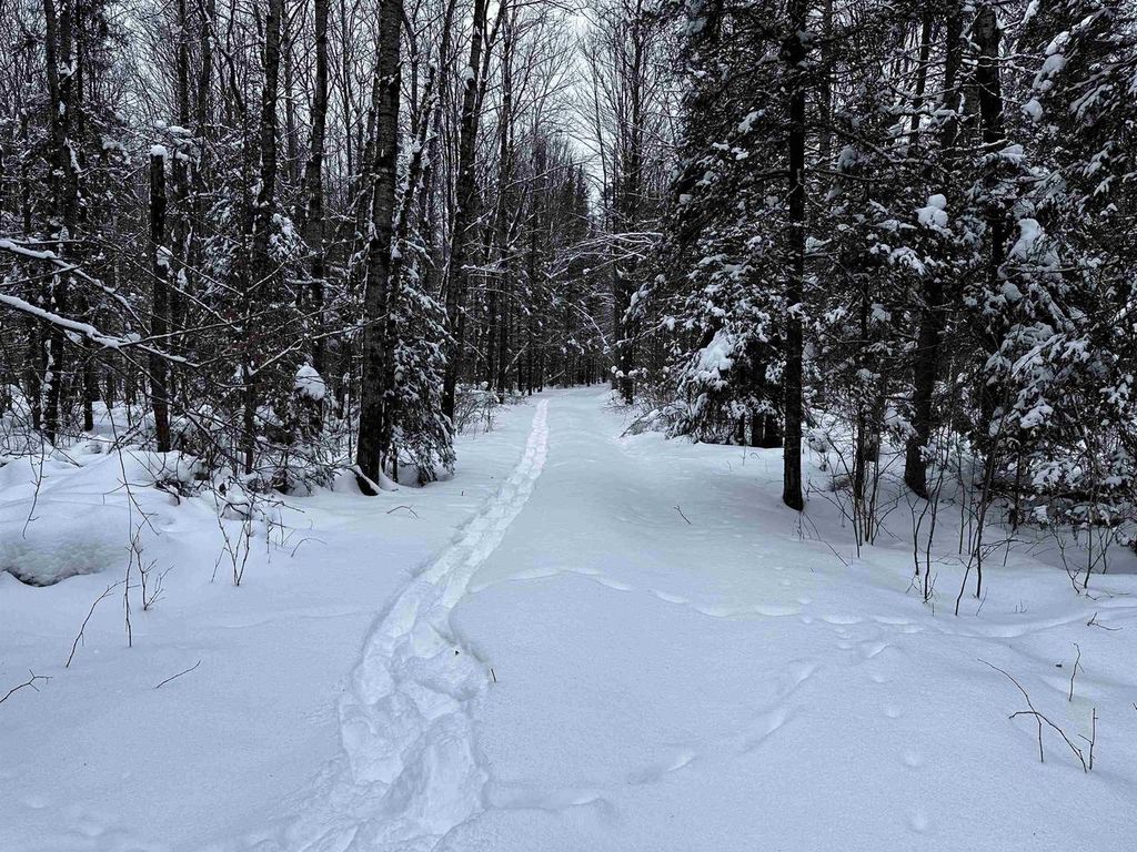 Photo of 15865 Thrasher ROAD, Alvin, WI 54542 (MLS # 22600137)