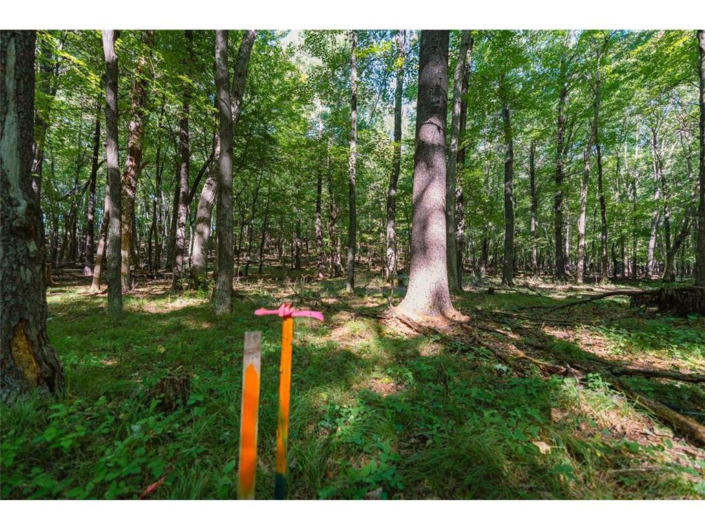 Photo of Lot3 815th AVENUE, Menomonie, WI 54751 (MLS # 7152378)