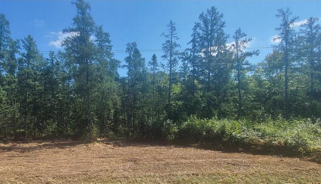 Photo of NA Hwy 77, Chicog, WI 60601 (MLS # 1605091)