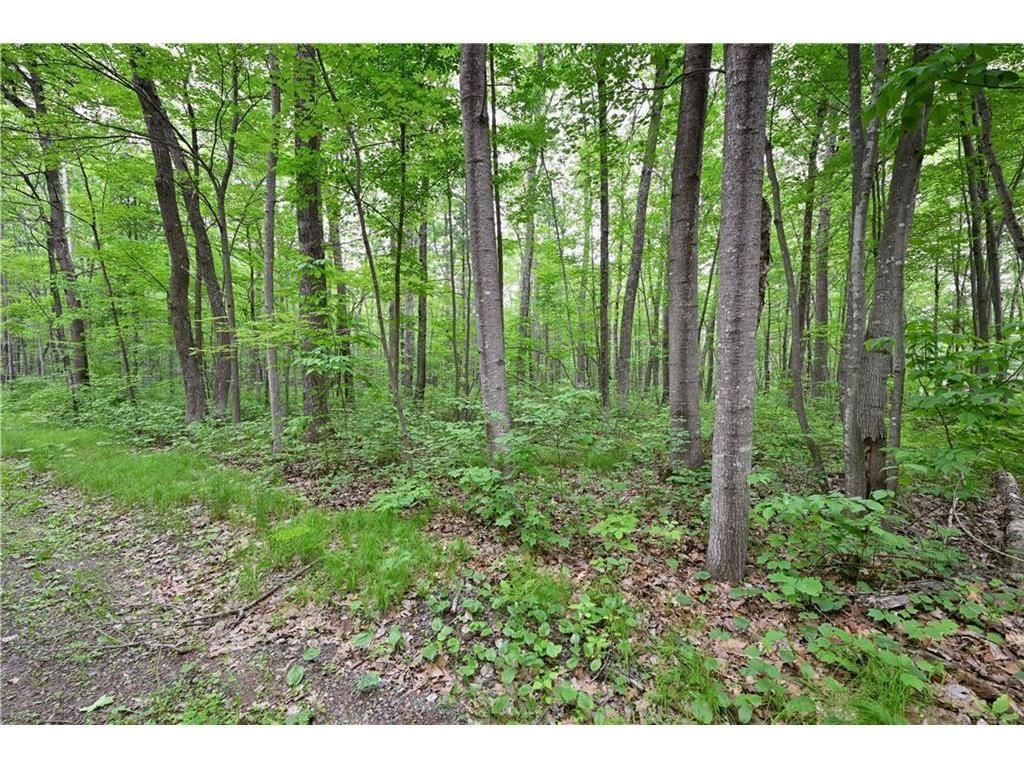 Photo of Lot 3 Chippewa AVENUE, Hayward, WI 54843 (MLS # 7000701)