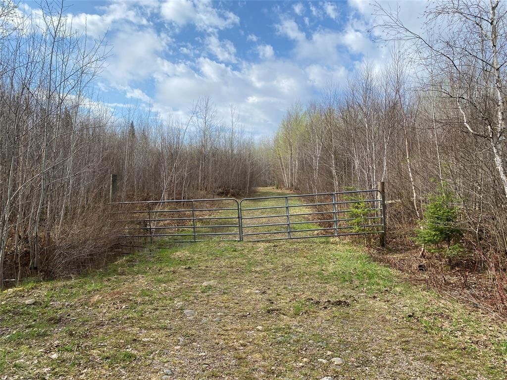 Photo of ON Wilson Lake Road, Phillips, WI 54555 (MLS # 1599325)