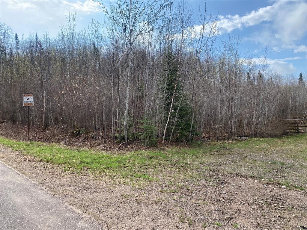 Photo of ON Wilson Lake Road, Phillips, WI 54555 (MLS # 1599325)