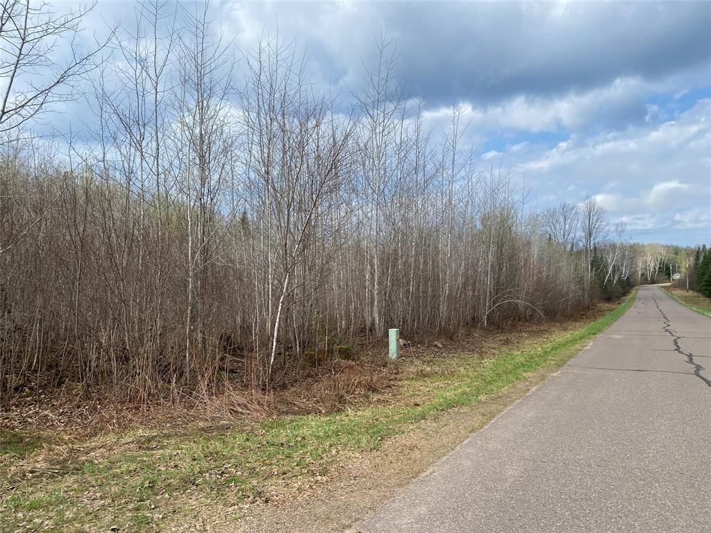 Photo of ON Wilson Lake Road, Phillips, WI 54555 (MLS # 1599325)