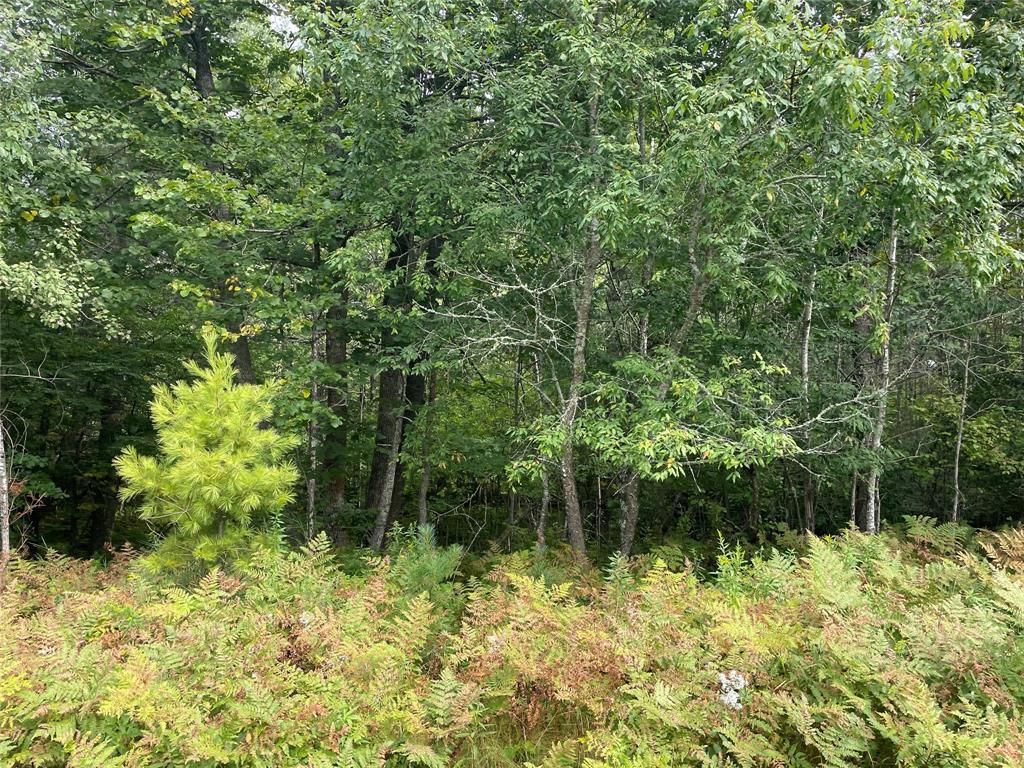Photo of Lot 8 Hermosa LANE, Hayward, WI 54843 (MLS # 1600910)