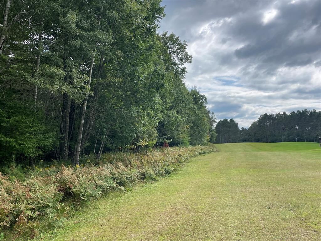 Photo of Lot 8 Hermosa LANE, Hayward, WI 54843 (MLS # 1600910)