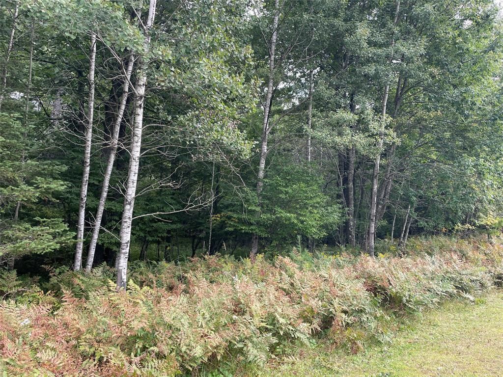 Photo of Lot 8 Hermosa LANE, Hayward, WI 54843 (MLS # 1600910)