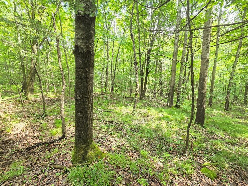 Photo of On Woodland LANE, Phillips, WI 54555 (MLS # 1603047)