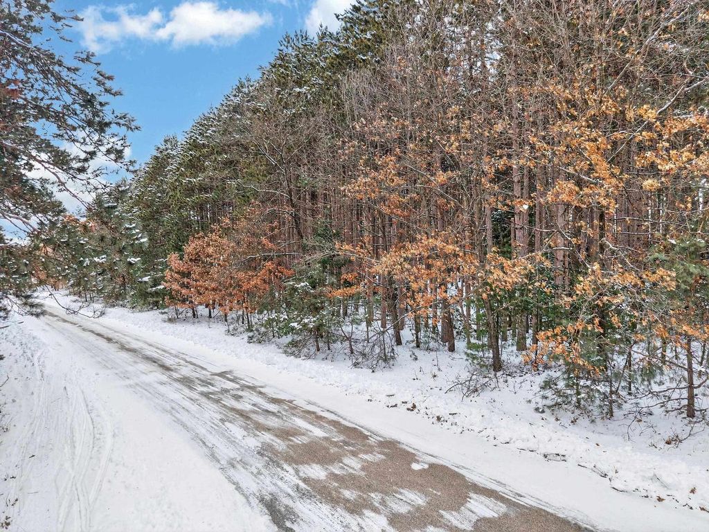 Photo of 10976 Red Pine WAY, Waupaca, WI 54981 (MLS # 50321460)