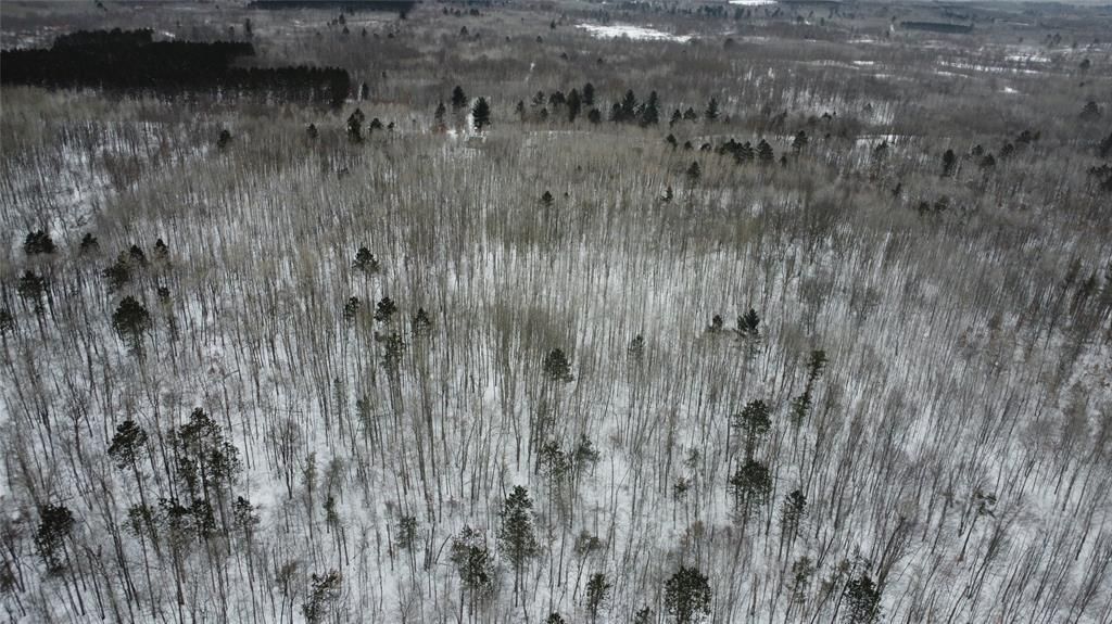 Photo of W 7975 Bramer ROAD, Trego, WI 54888 (MLS # 1599912)