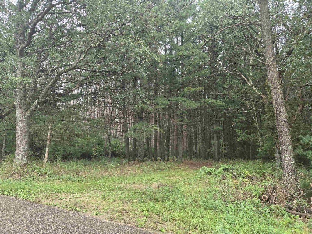 Photo of W8153 Deerborn AVENUE, Westfield, WI 53964 (MLS # 2033028)