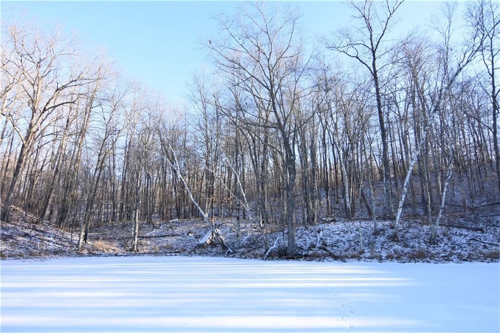 Photo of 0 282nd AVENUE, New Auburn, WI 54757 (MLS # 1598627)