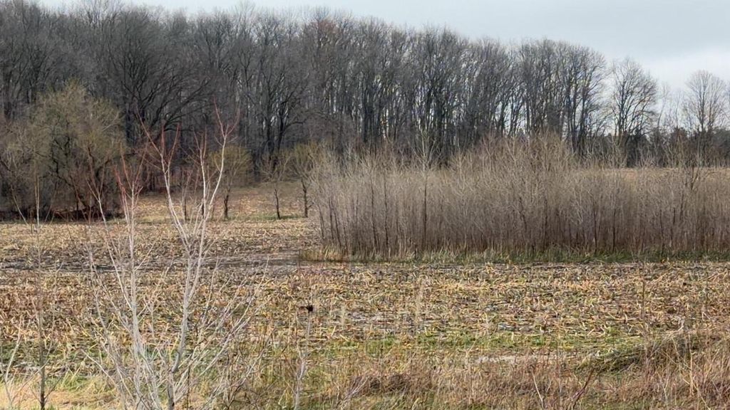 Photo of US 45, Fremont, WI 54940 (MLS # 50323793)