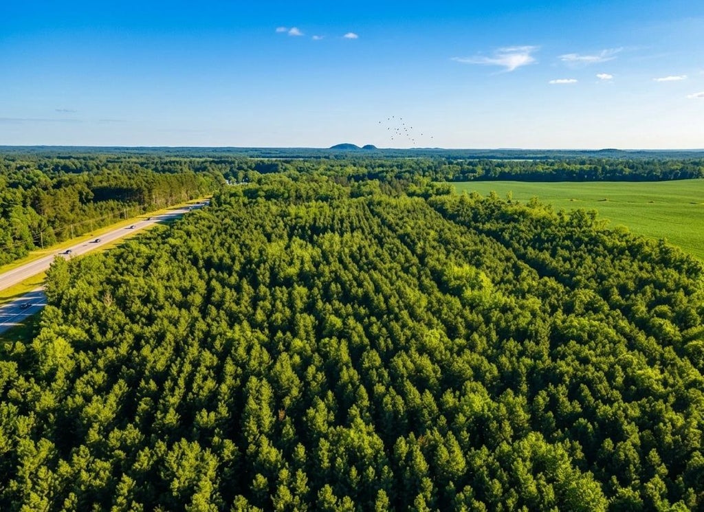Photo of Lot 4 11th DRIVE, Friendship, WI 53934 (MLS # 2031912)