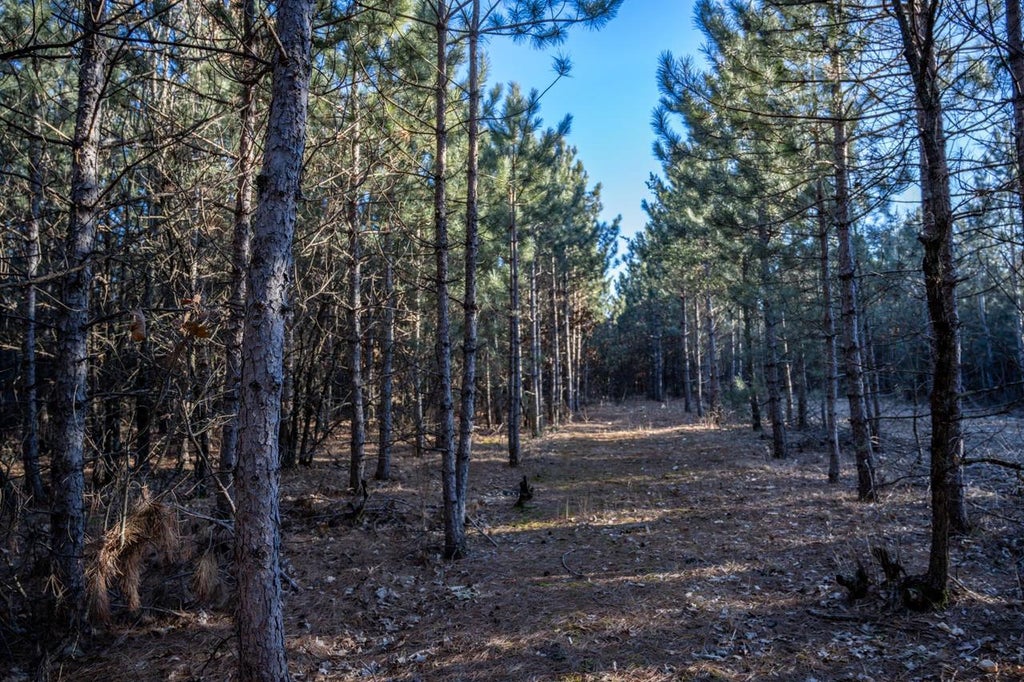 Photo of Lot 4 11th DRIVE, Friendship, WI 53934 (MLS # 2031912)