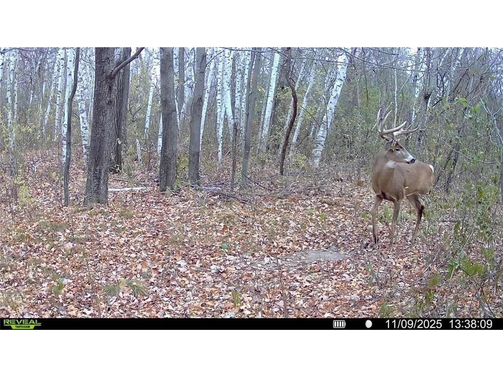 Photo of 1174 230th STREET, Baldwin, WI 54002 (MLS # 6784514)