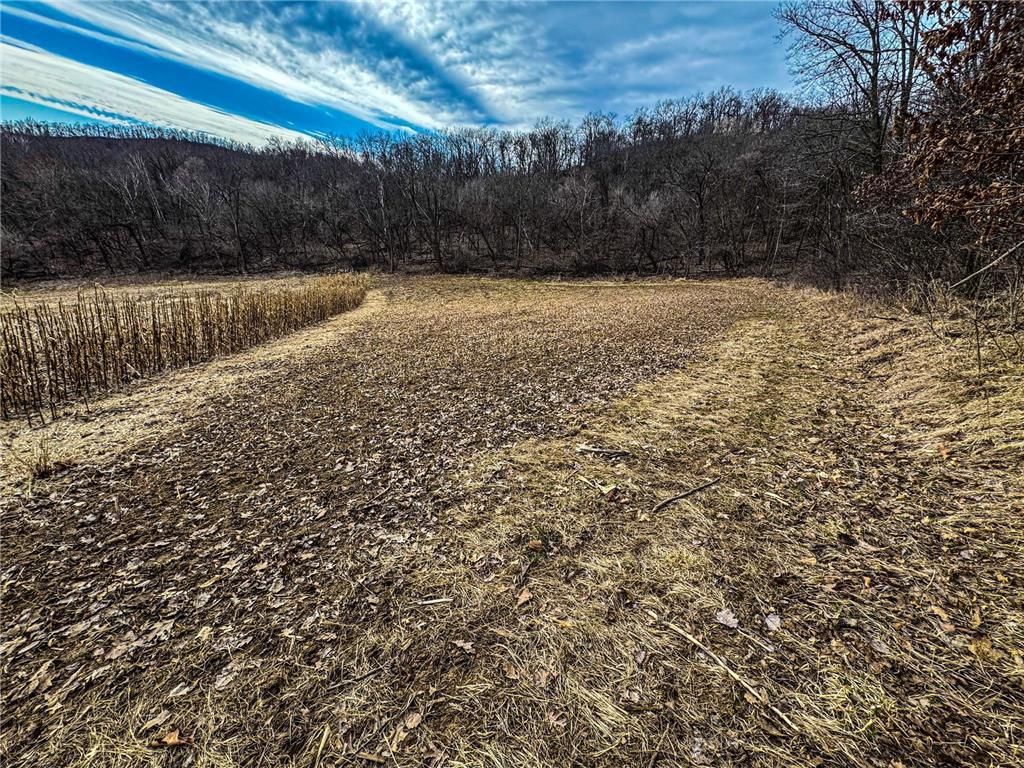 Photo of 0 Theurer LANE, Arcadia, WI 54612 (MLS # 7036311)