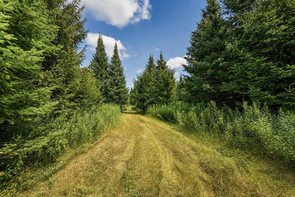 Photo of 00 State Highway 17, Merrill, WI 54452 (MLS # 22603895)