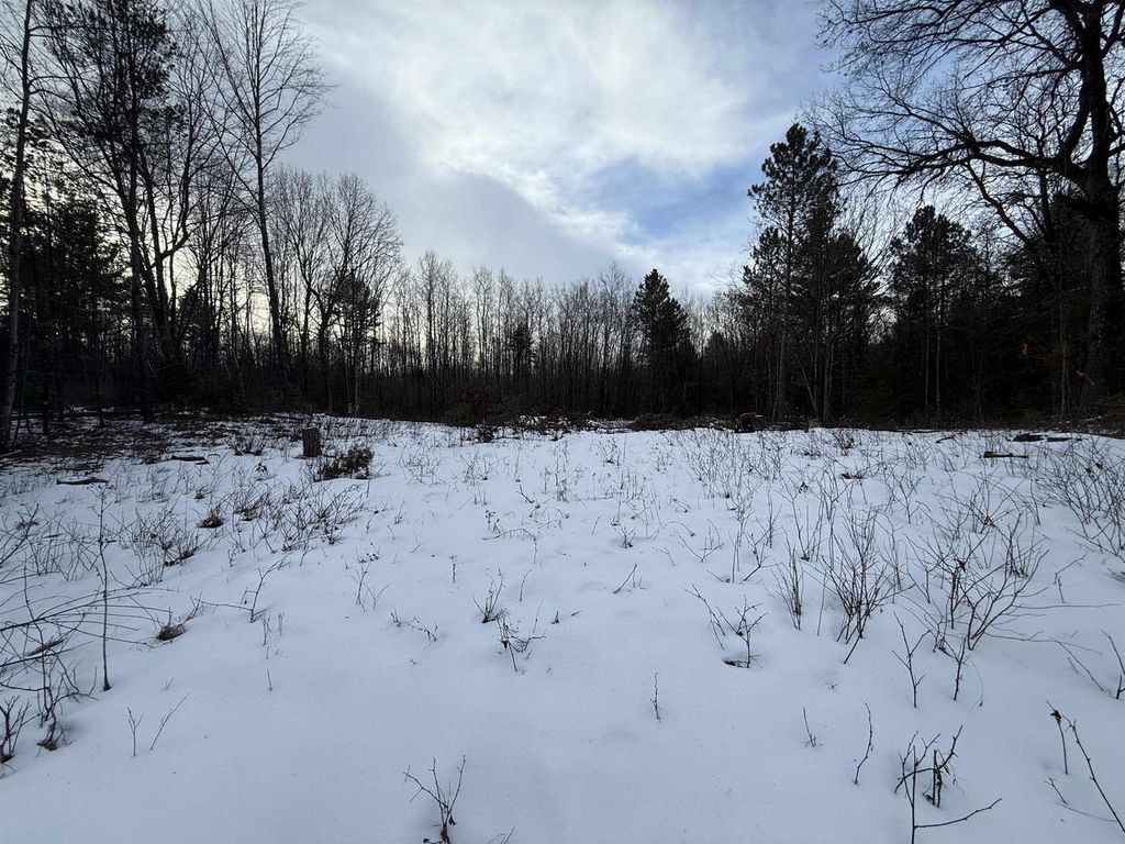 Photo of W1561 Hawks Nest TRAIL, Keshena, WI 54135 (MLS # 50321475)