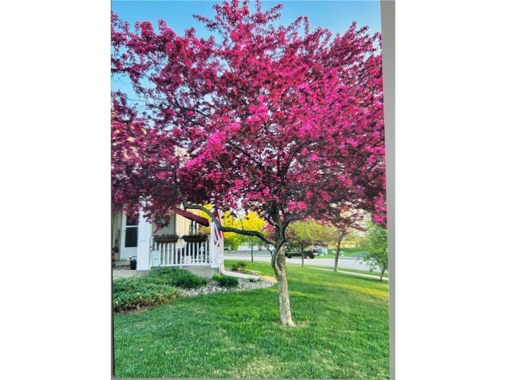 Photo of 66 Meadowlark DRIVE, Hudson, WI 54016 (MLS # 7036672)