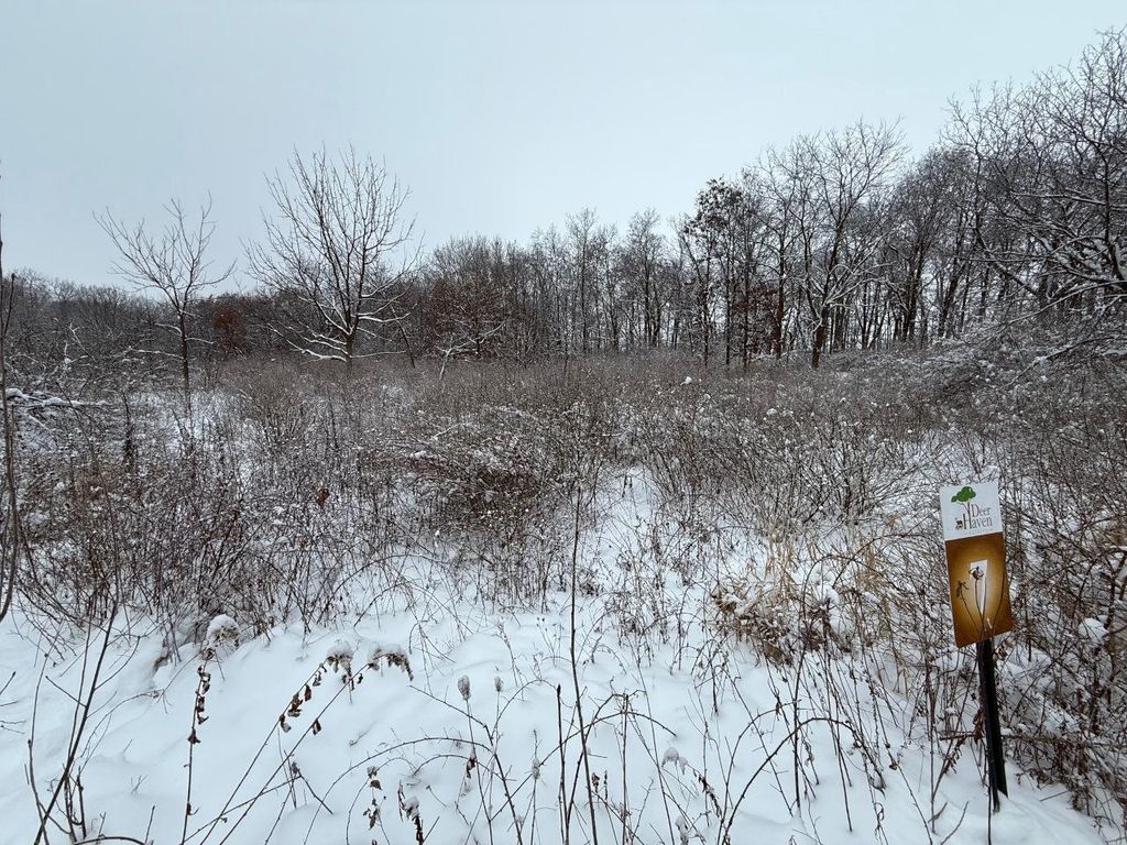 Photo of L7 Fawn Meadow LANE, Verona, WI 53593 (MLS # 2013314)
