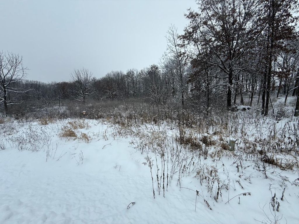 Photo of L7 Fawn Meadow LANE, Verona, WI 53593 (MLS # 2013314)