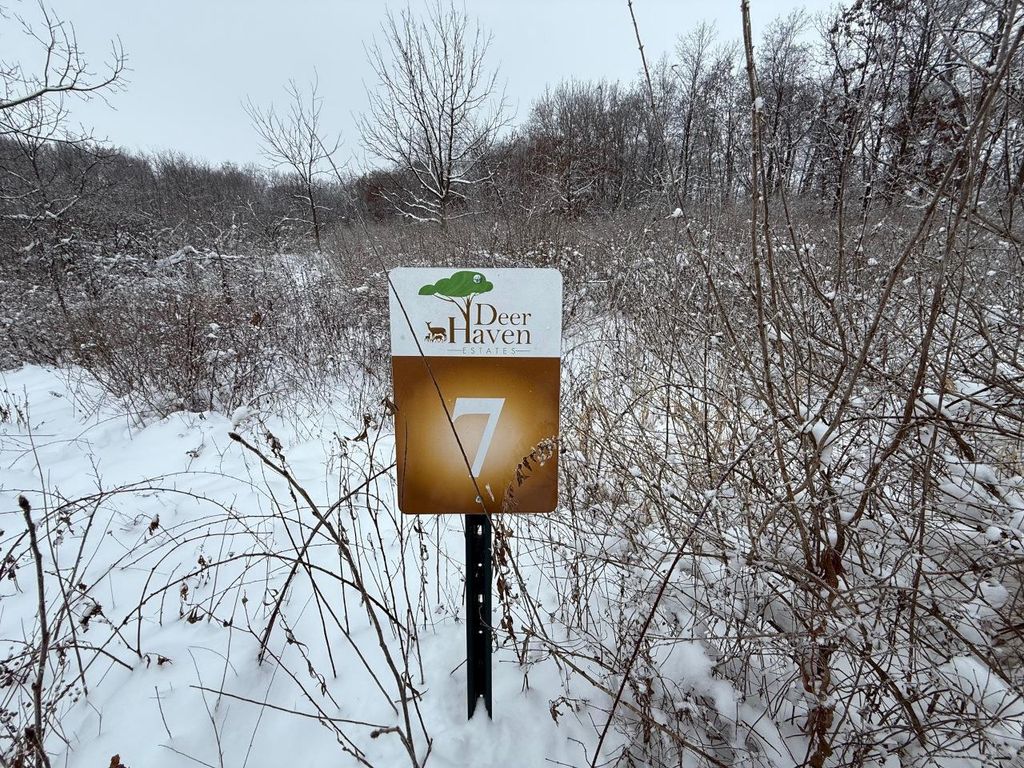 Photo of L7 Fawn Meadow LANE, Verona, WI 53593 (MLS # 2013314)